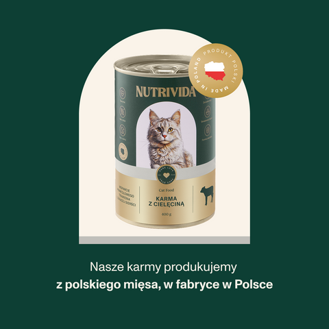 Karma mokra dla kota z cielęciną