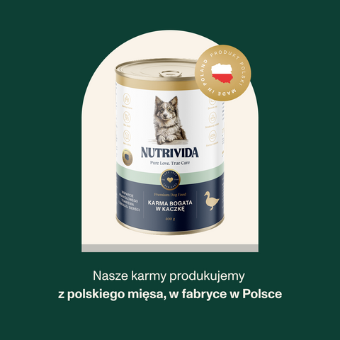 Karma mokra dla psa bogata w kaczkę