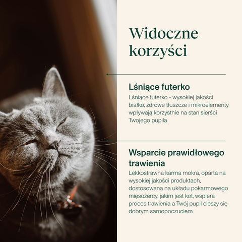 Karma mokra dla kota bogata w kaczkę