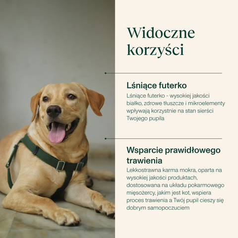 Karma mokra dla psa bogata w kaczkę