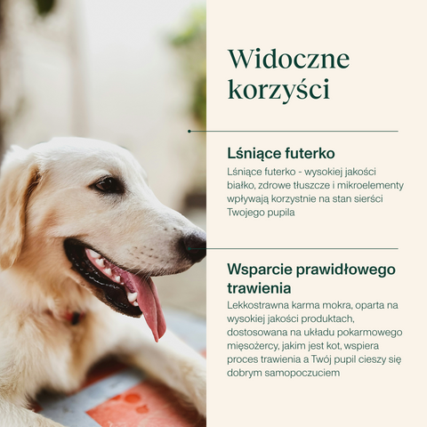 Karma dla psa bogata w jagnięcinę