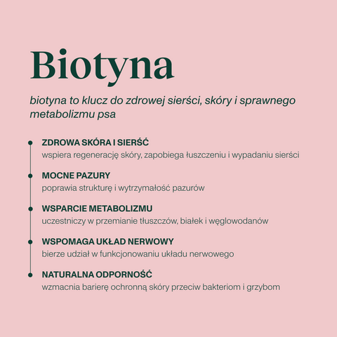 Karma mokra dla psa z królikiem