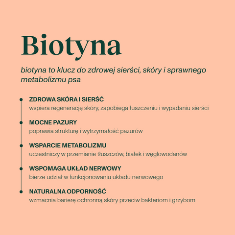 Karma mokra dla psa z jagnięciną