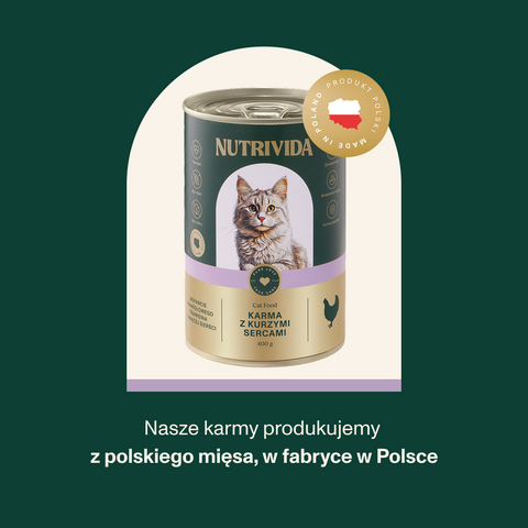 Karma dla kota z sercami kurzymi