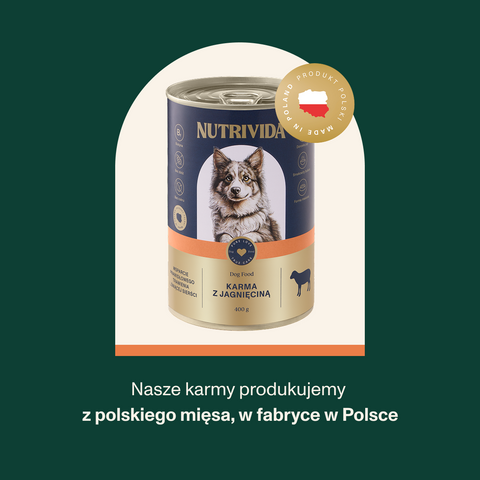 Karma mokra dla psa z jagnięciną