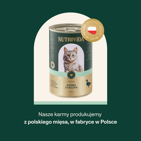 Karma dla kota z kaczką