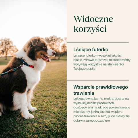 Karma mokra dla psa bogata w indyka