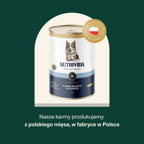 Karma dla psa bogata w dorsza