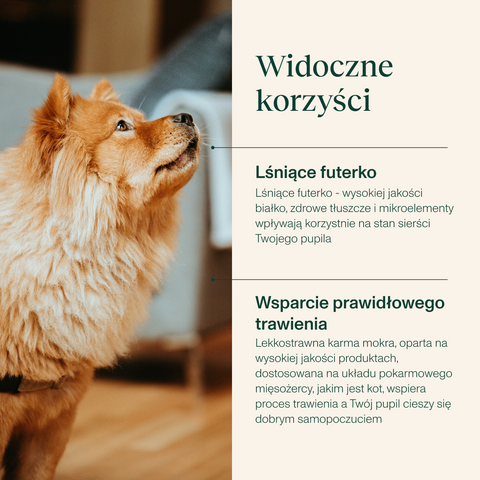 Karma dla psa bogata w dorsza