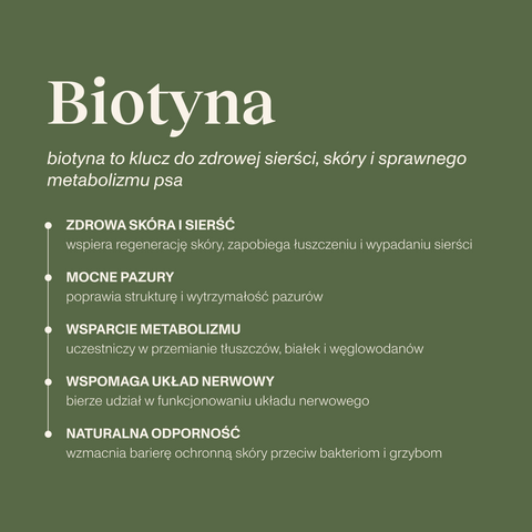 Karma mokra dla psa z dziczyzną