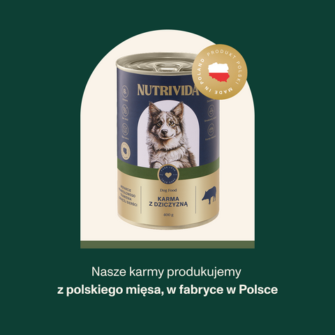 Karma mokra dla psa z dziczyzną