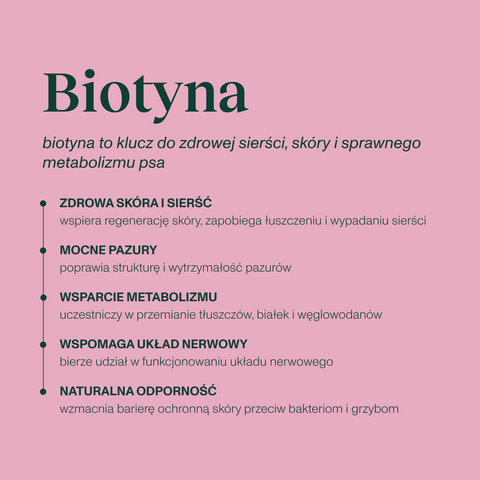 Karma mokra dla psa z wołowiną