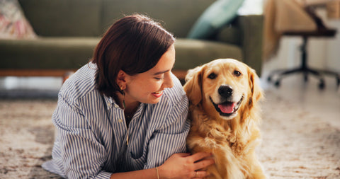 Superfood dla psów i kotów – odkryj moc natury