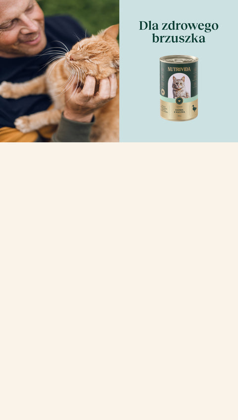 Super skład w dobrej cenie + darmowa wysyłka