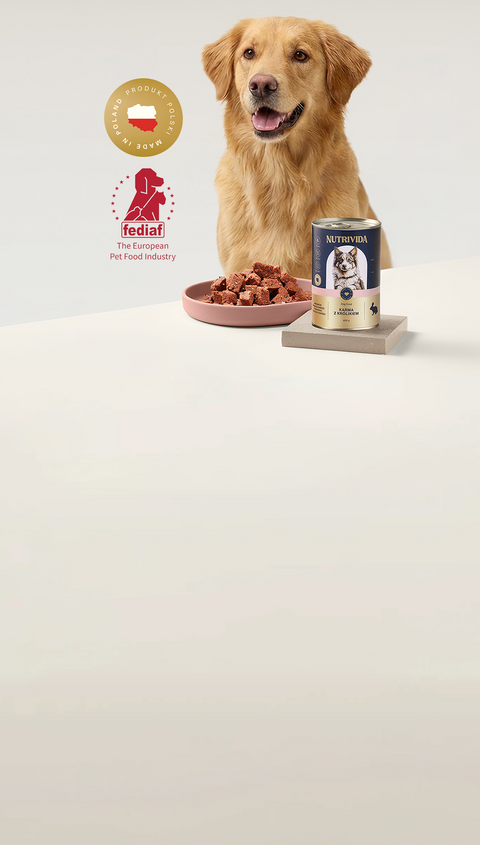 Premium skład. Uczciwa cena