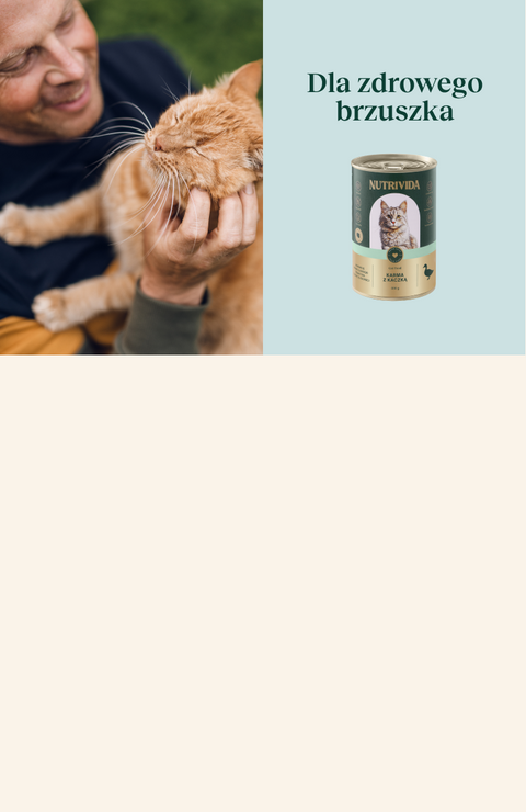 Super skład w dobrej cenie + darmowa wysyłka