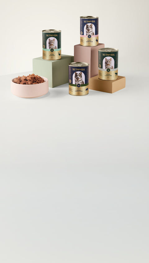 Super skład w bardzo dobrej cenie