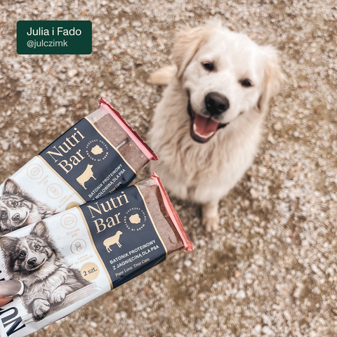 Baton proteinowy Nutri Bar dla psa z wołowiną