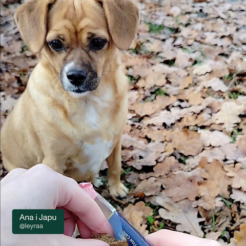 Baton proteinowy Nutri Bar dla psa z wołowiną