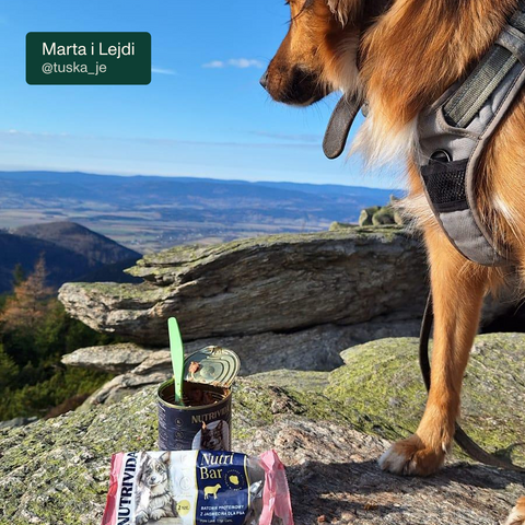 Baton proteinowy NutriBar dla psa z jagnięciną