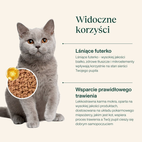 NutriMix dla Kota – MultiPack bezzbożowych saszetek (4 x 100g | 2 Smaki - cielęcina i kaczka)