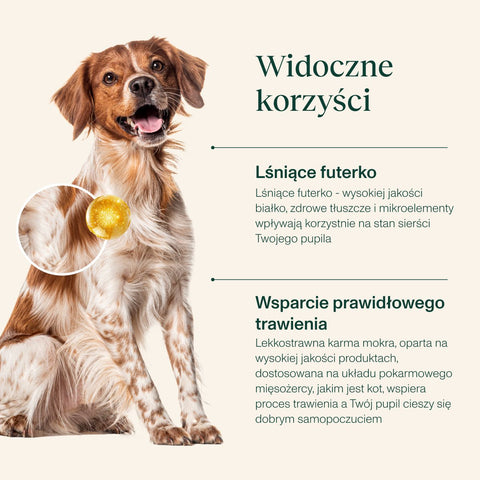 NutriMix dla Psa – MultiPack bezzbożowych saszetek (4 x 100g | 2 Smaki - dziczyzna i jagnięcina)