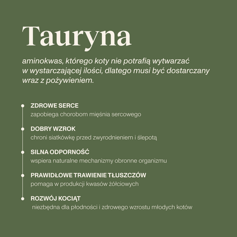 Indyk z dzikiem karma Premium+ dla kota