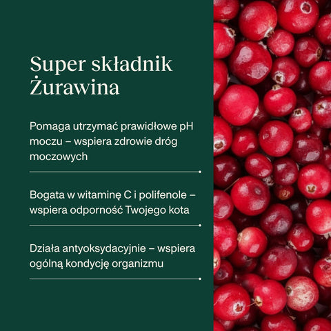 Indyk z kaczką karma Premium+ dla kota
