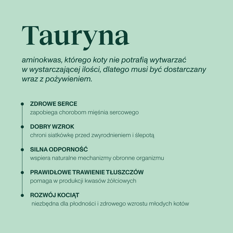 Indyk z kaczką karma Premium+ dla kota