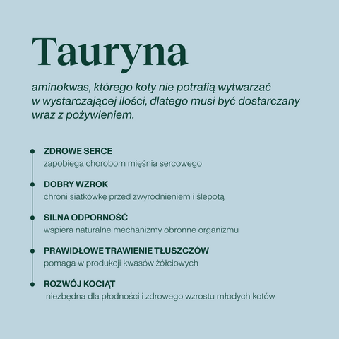 Indyk z morszczukiem karma Premium+ dla kota