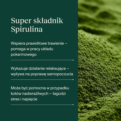 Indyk z morszczukiem karma Premium+ dla kota