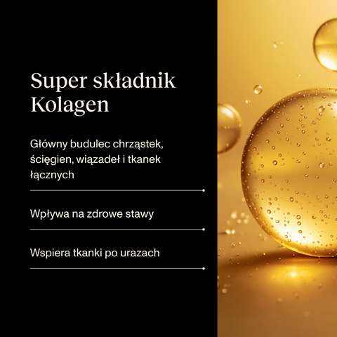 Indyk karma Super Premium dla psa