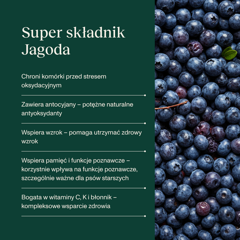 Wieprzowina z koniną karma Premium+ dla psa