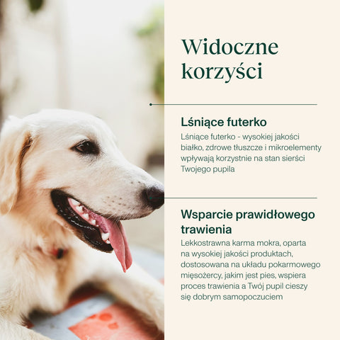 Karma mokra dla psa z królikiem