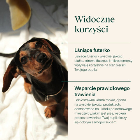 Karma mokra dla psa z wołowiną
