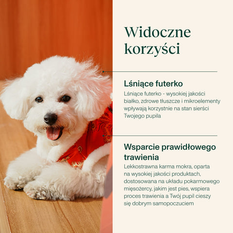 Karma mokra dla psa z jagnięciną