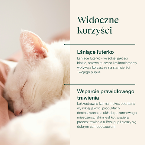 Karma mokra dla kota bogata w wołowinę