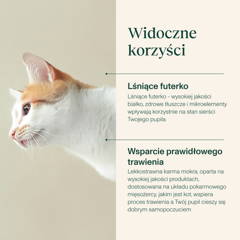 Karma dla kota z sercami kurzymi