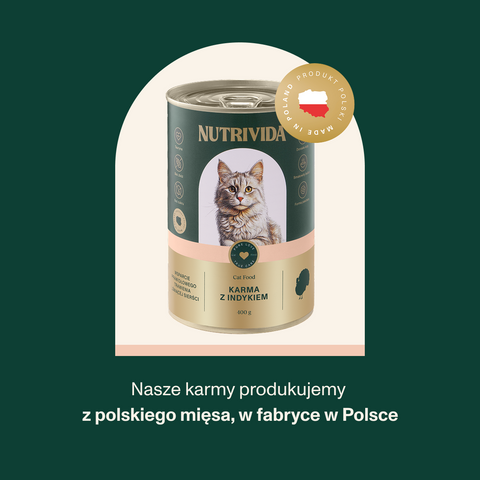 Karma dla kota z indykiem