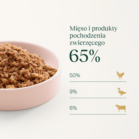 Karma dla kota z kaczką