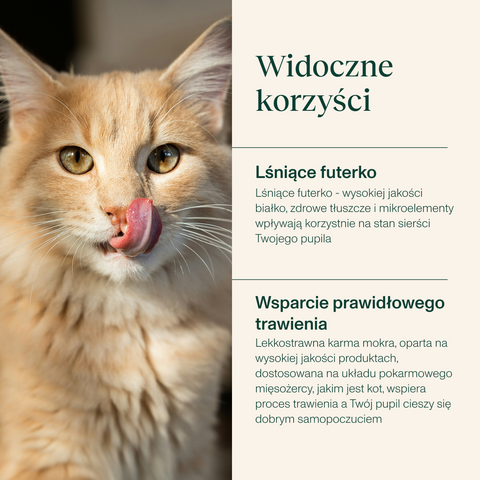 Karma mokra dla kota bogata w indyka