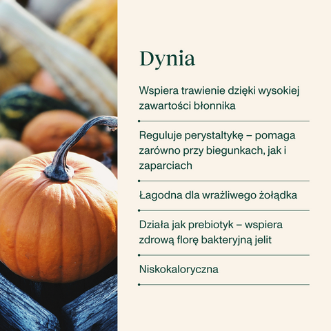 Jagnięcina karma Super Premium dla psa