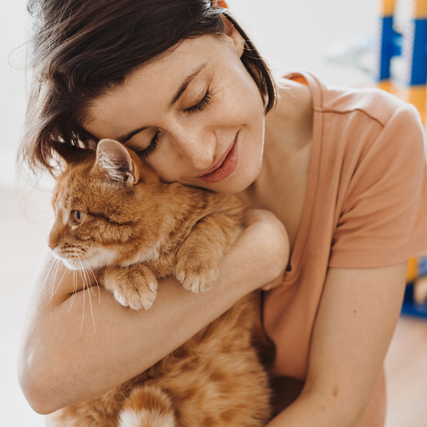 Łosoś karma Super Premium dla kota