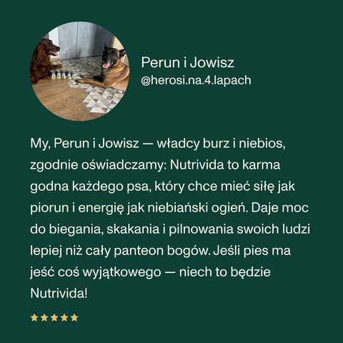Karma mokra dla psa z wołowiną