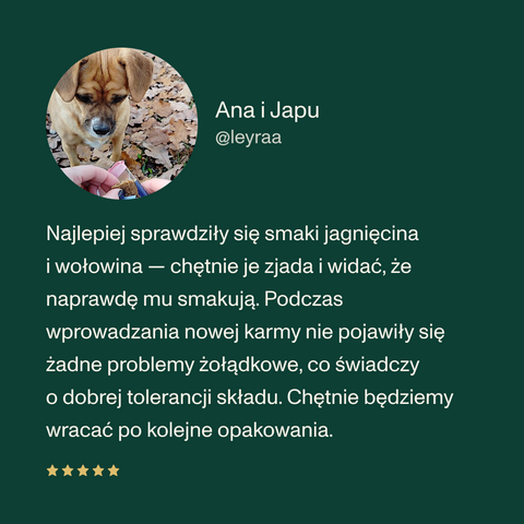 Karma mokra dla psa z jagnięciną