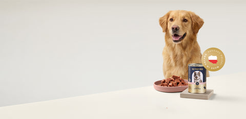 Premium skład. Uczciwa cena