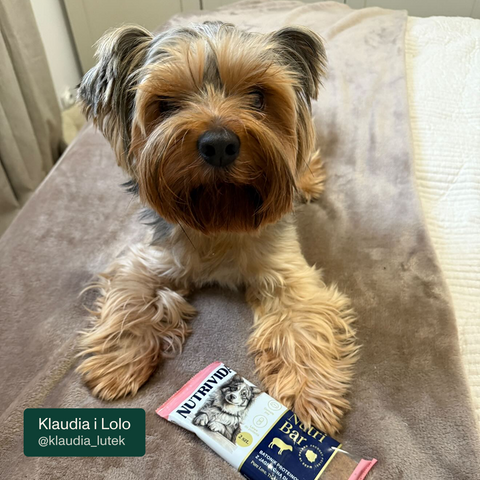 Baton proteinowy NutriBar dla psa z jagnięciną